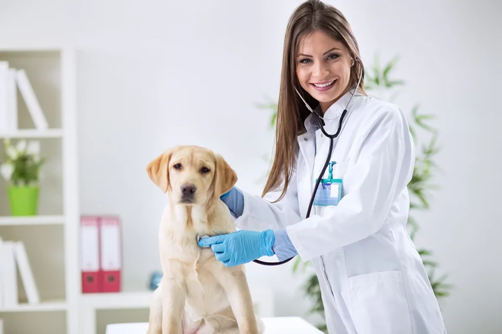 Tierärztin mit Stethoskop und einem Hund